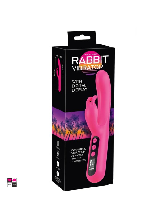 Rabbit Digitale: Controllo Totale per un Doppio Piacere