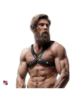 Imbracatura Bulldog per il Petto Frontale – Domina la Scena - Misura Unica con anello centrale